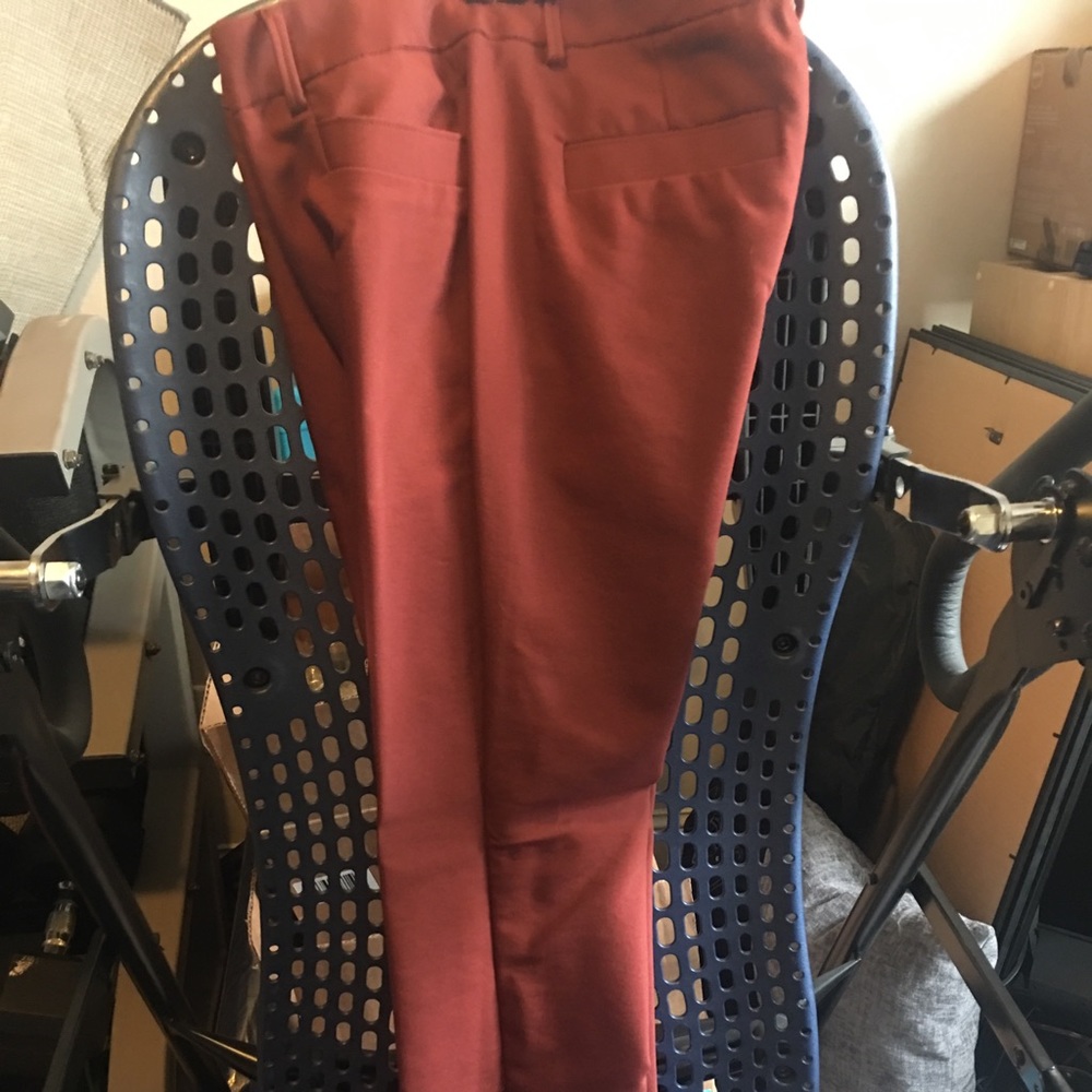 Express Dress Pants - New - Barely Boot Cut